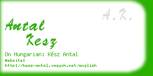 antal kesz business card
